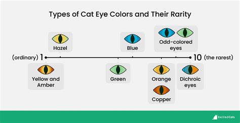 cat eye colors rarity